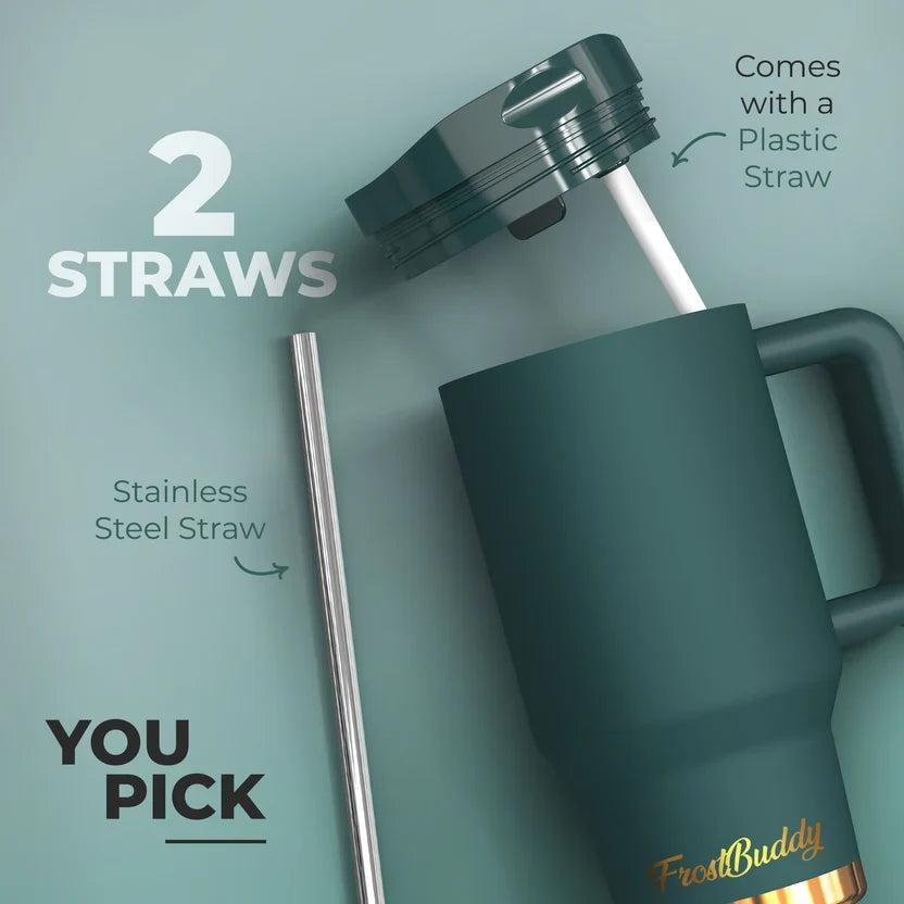 Amber Tortoise